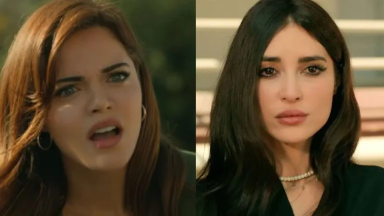 terra amara, zuleyha salva mujgan