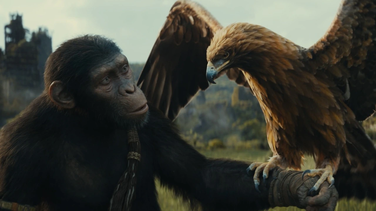 Il regno del pianeta delle scimmie: dove vederlo: Netflix o Disney+? Trama e finale