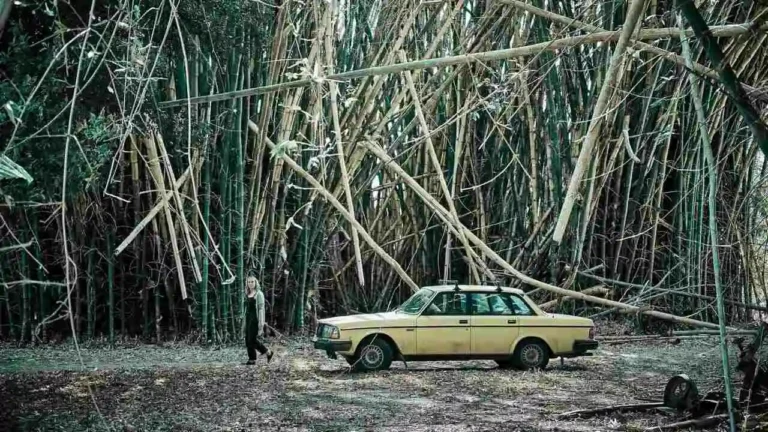 come finisce sweet river