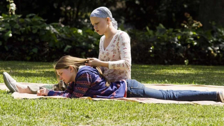 Come finisce La custode di mia sorella